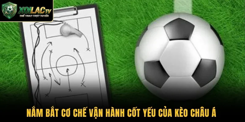 Nắm bắt cơ chế vận hành cốt yếu của kèo châu Á 